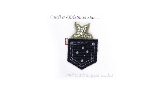 Catch a Christmas Star Christmas Card Pack
